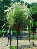 Half Round Planter with Wall Hook